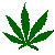 rotating cannabis leaf